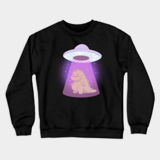 Abduction Crewneck Sweatshirt